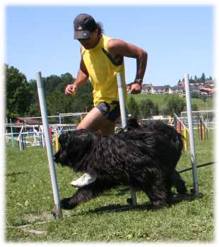 Popy und Enzo auf Vollgas im Slalom!