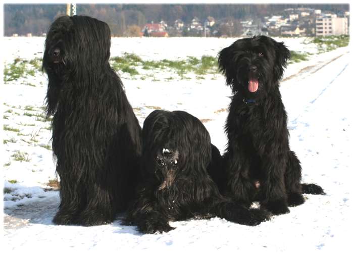 Das Pataviento-Trio in Pose!