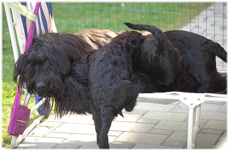 Die Familie macht Siesta!