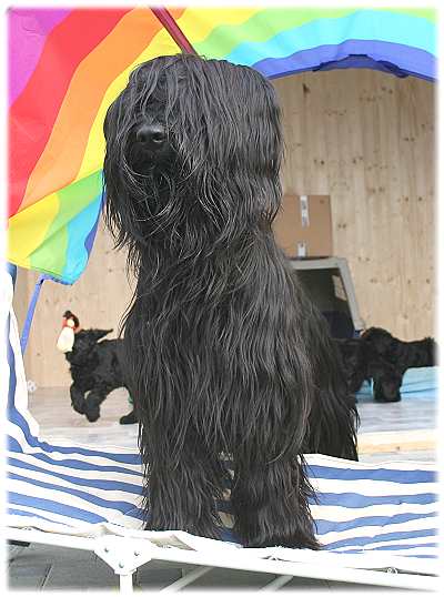Amifée die Queen der Villa Pata viento!