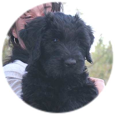 Bubi Rot