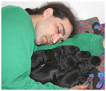 Enzo ist gerade eingeschlafen mit den Babies im Arm!