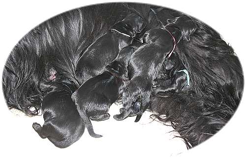 Mamas Schutz und Wrme ist nun besonders wichtig!