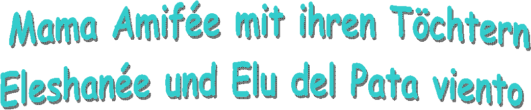 Briard - Info & Zucht - Hundesport