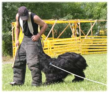 Am Gummiseil wird die Grifftechnik kontrolliert und verbessert.