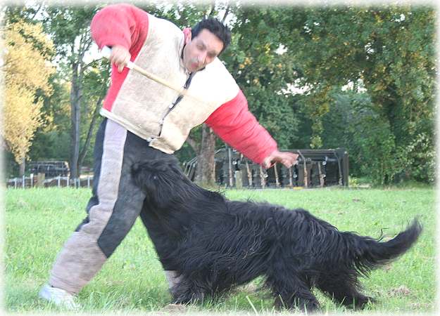 Hochleistung fr Helfer und Hund