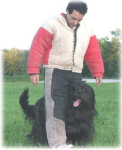 diese Technik zwischen den Beinen hat ihr Enzo antrainiert