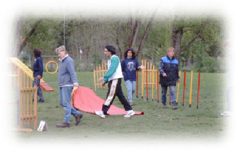 Parcourbesichtigung - hier prgen sich die Lufer den Weg ein und suchen nach der optimalen Fhrungstechnik fr einen harmonischen Lauf mit dem Hund!