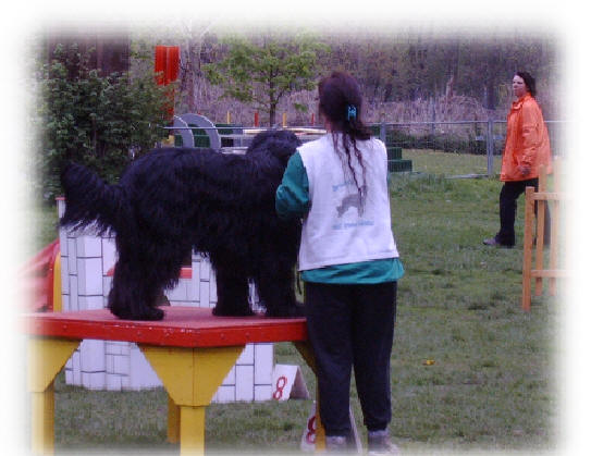 Ein letzter Blick in den "Chaos"- Parcour und dann rauschen Bea und Paso los!