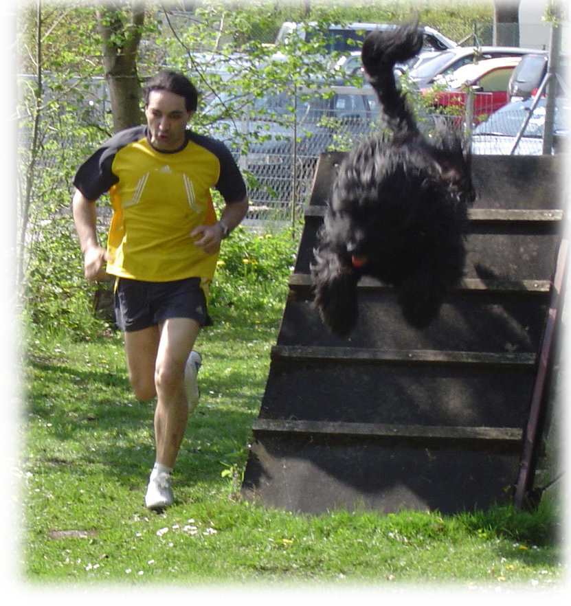 Mel Paso + Enzo auf Vollgas im Hindernislauf!