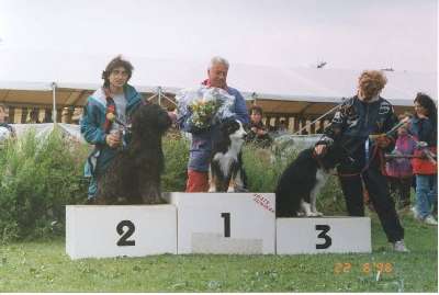 Huana im 2. Rang Agility Wettkampf Klasse A3 