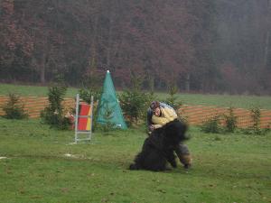 Mondioring: der schwarze Wollknuel ist ganz schn schwer!!