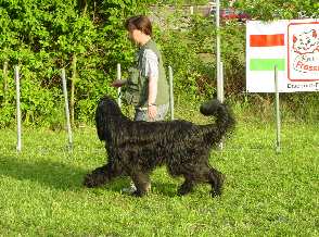 Mel Paso del Pata viento und Bea 