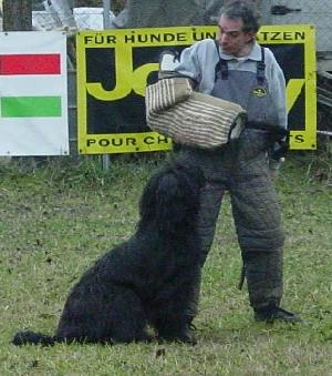 Popa nach Aus in Bewachungsphase