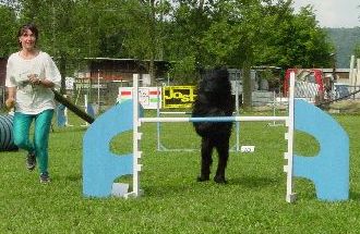 Popy beim Abspringen ber die Hrde!