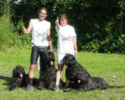 Die Pata viento Familie in voller Action, nach einem erfolgreichen Agilitytag!