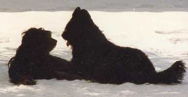 Fanouche und ihr gliebter Axel