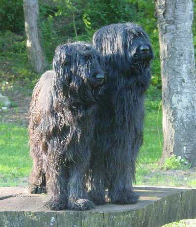 Popèa und Mel Paso del Pata viento in ihrer neuen Villa Pata viento