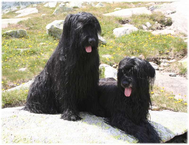 unsere 2 Patavientos 