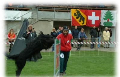 Hochsprung 1.20 m